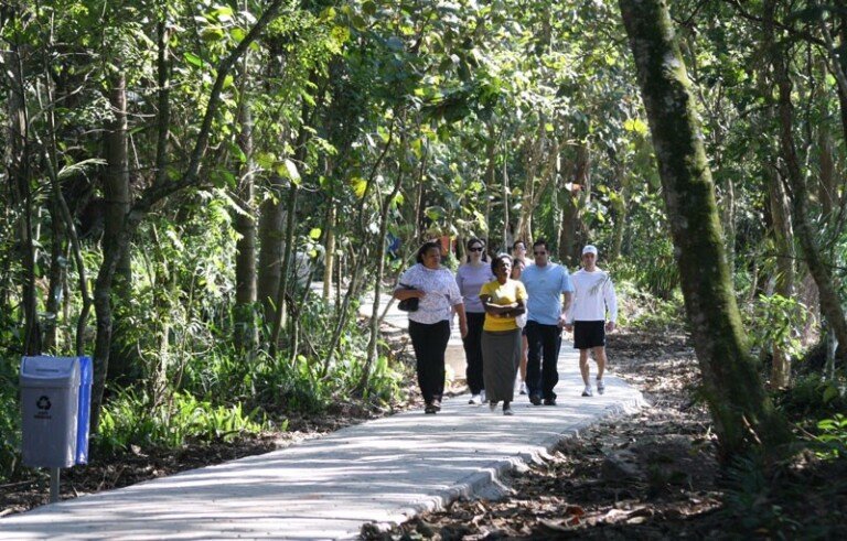 parque-centenario-visite-mogi-das-cruzes-10