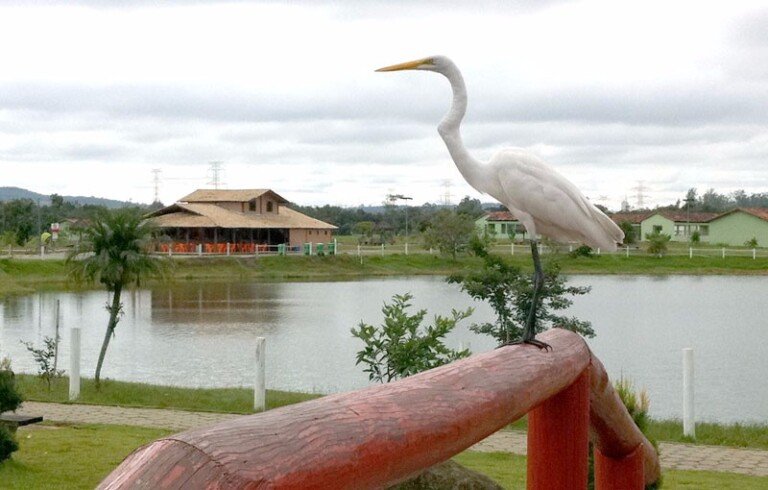 parque-centenario-visite-mogi-das-cruzes-9