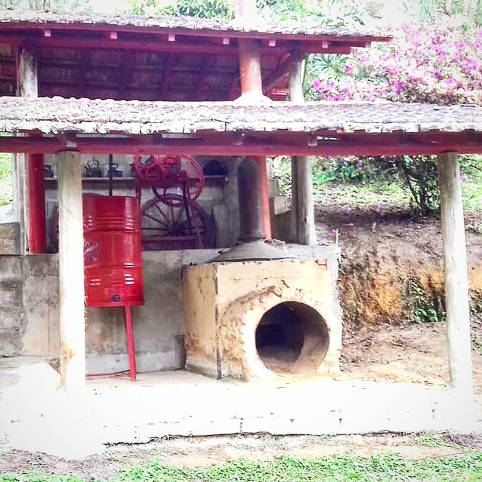 Visite-Mogi-Mata-atlantica-Reserva-Mahayana-11 Visite-Mogi-Mata-atlantica-Reserva-Mahayana-11