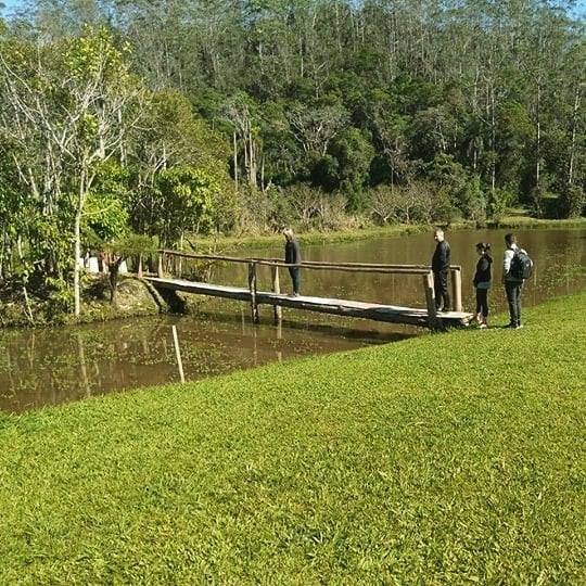 Visite-Mogi-Mata-atlantica-Reserva-Mahayana-3 Visite-Mogi-Mata-atlantica-Reserva-Mahayana-3