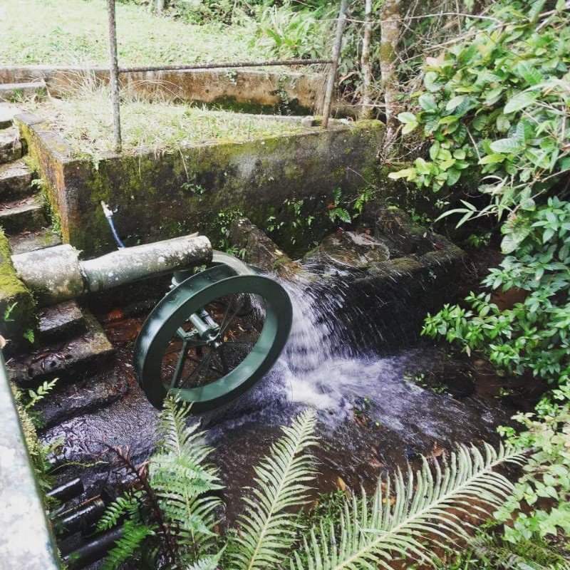 Visite-Mogi-Mata-atlantica-Reserva-Mahayana Visite-Mogi-Mata-atlantica-Reserva-Mahayana